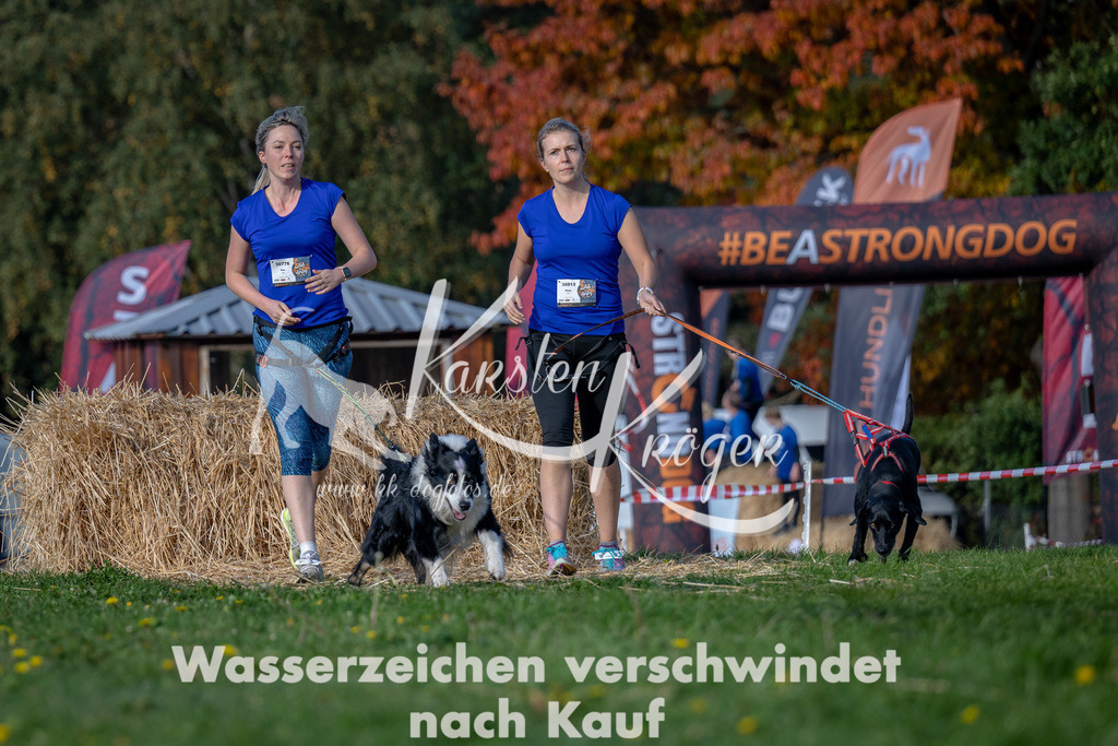 1037_ZZ91112 | kk-dogfotos