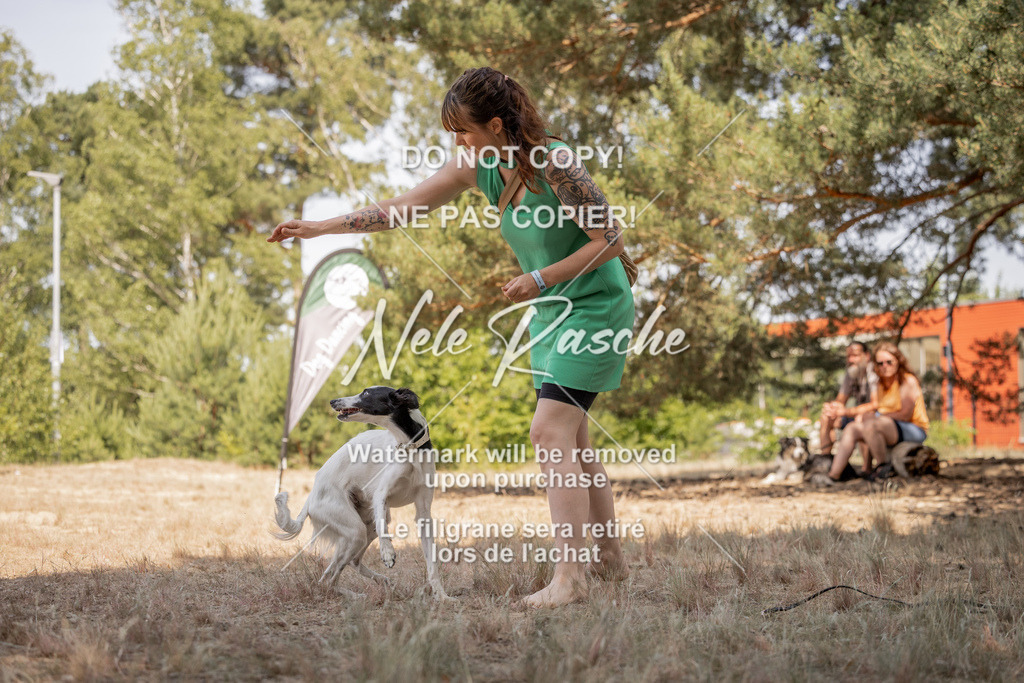 nelerasche_soDD2_417 | nelerasche