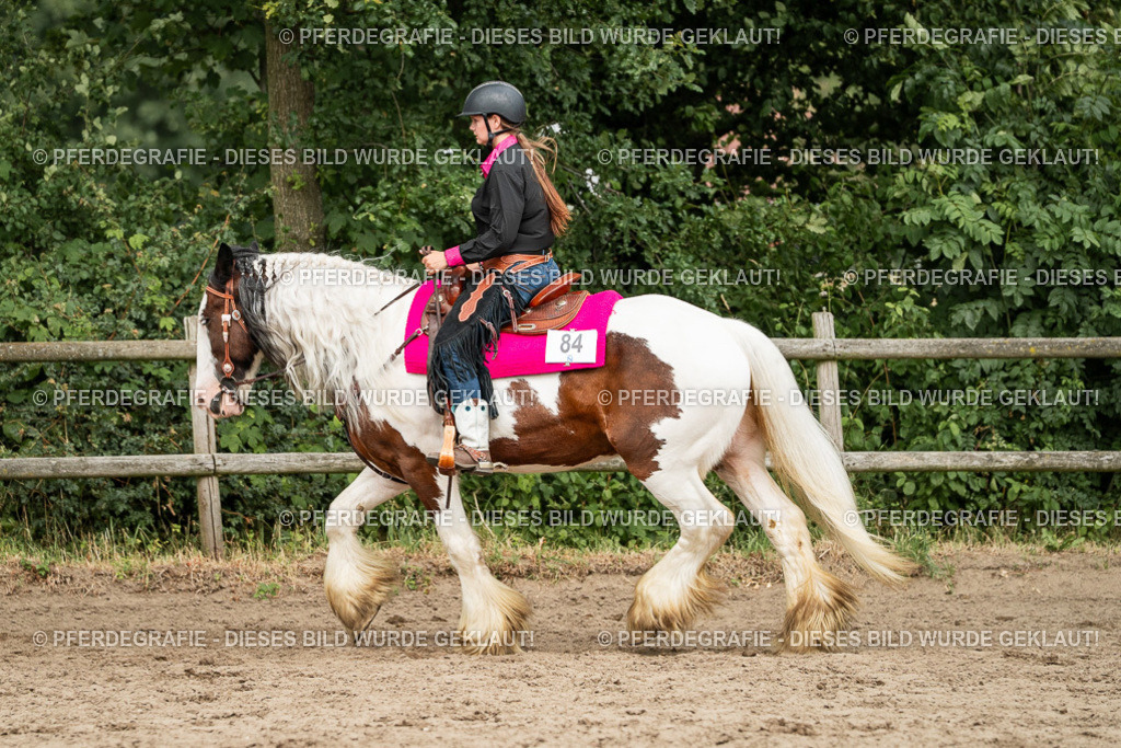 DSC03899 | Pferdegrafie