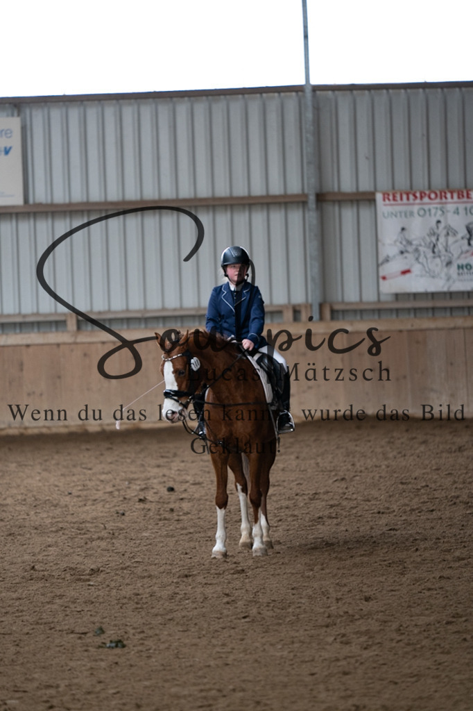 A7V05017 | Pferdefotograf