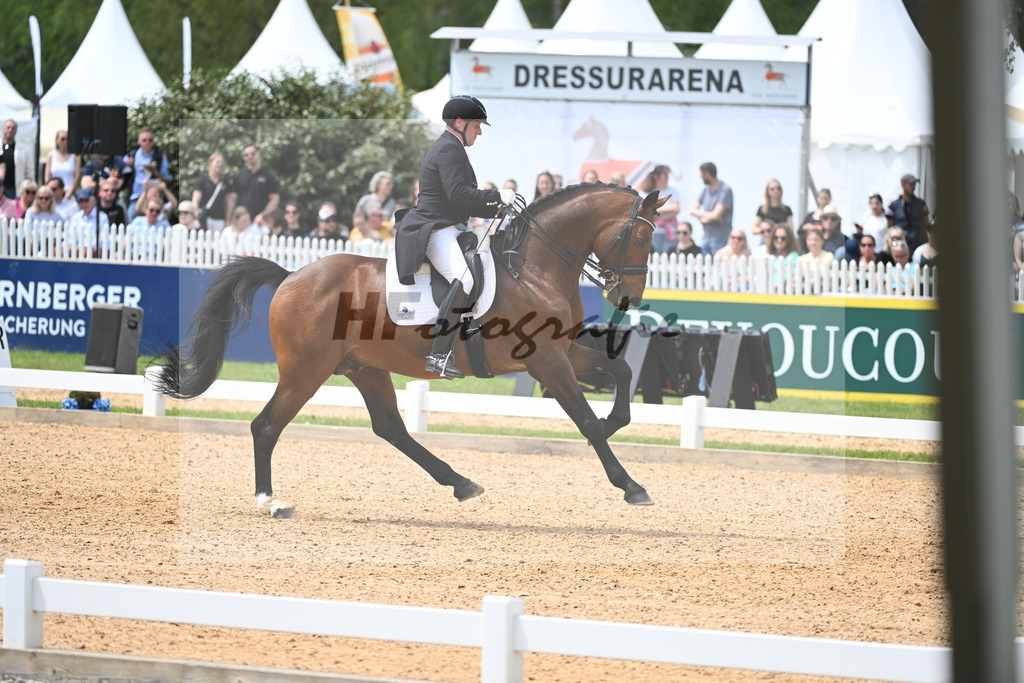 Eichhorn_Valentino_11233804 | hf-fotografie - Realisiert mit Pictrs.com