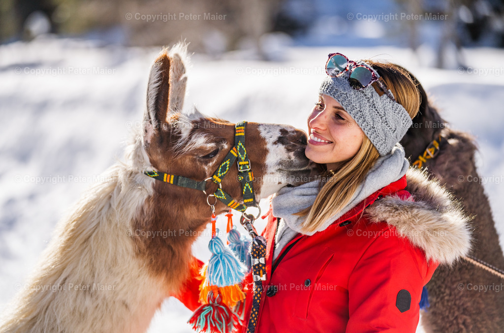 Lama_Wanderung_Winter_Stapitzer_See-178 | piet_flosse