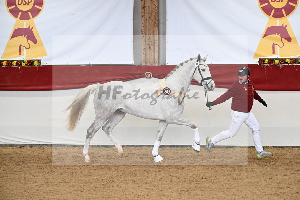Kat.-Nr. 35 v. Zirocco Blue_Schlamminger_3265318 | hf-fotografie - Realizzato con Pictrs.com