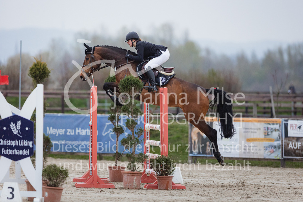 230408_Frühlingsfest_Stil-M-952 | Deine schönsten Turniermomente als professionelle Fotos! Entdecke hochwertige Pferdesport-Fotografie im Online-Shop. Jetzt Fotos finden & bestellen!