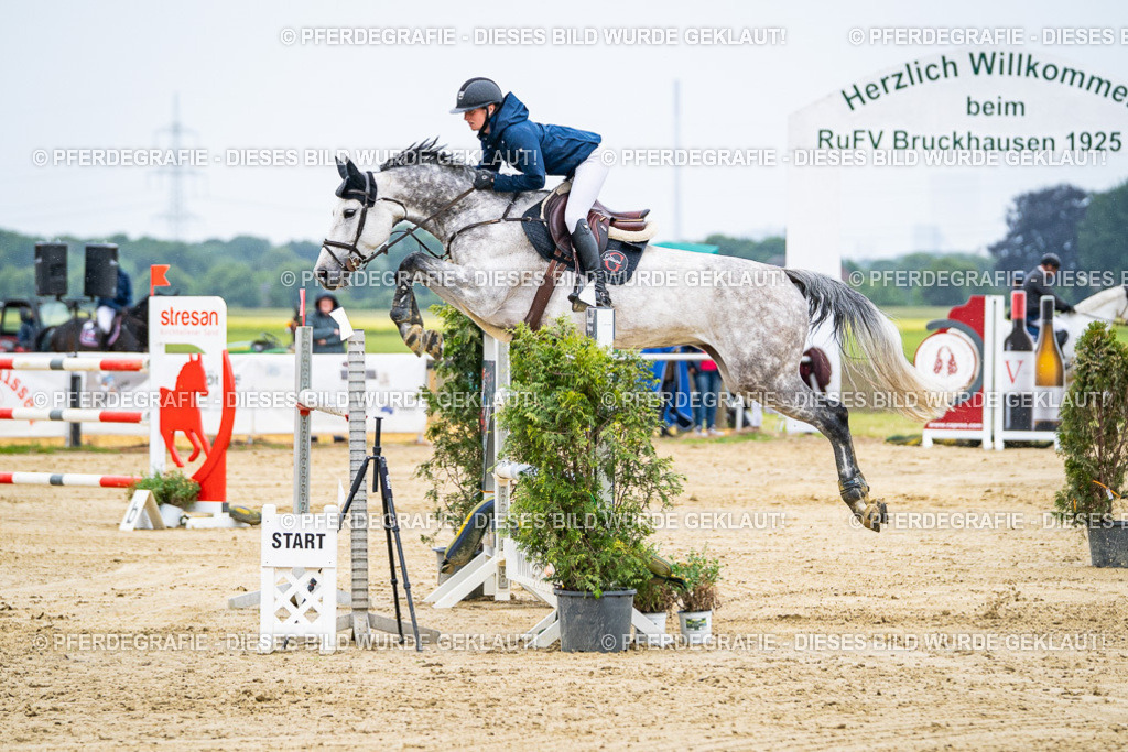 DSC08211 | Pferdegrafie