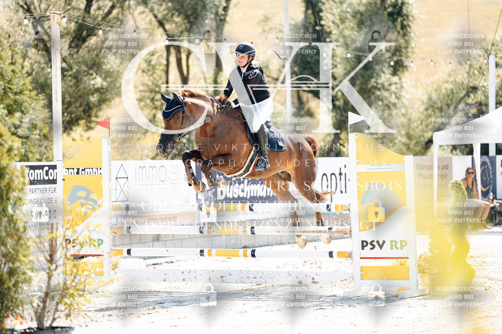 CK908494 | Turnierfotografie Pferdefotografie Trier Rheinland-Pfalz Pferdesport Reitsport Tierfotografie Sportfotografie Pferdevideo Pferdevideografie Equestrianvideography equestrianphotography  - Realisiert mit Pictrs.com
