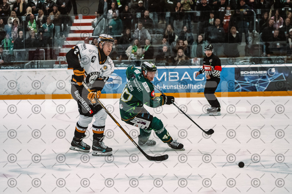 Alligators_vs_Fuessen_27_09_2026-18 | Die Fotogalerie von Daddel: professionelle Bilder von Sport, Events und Unternehmen aus Franken. Jetzt Galerien durchstöbern und Lieblingsfotos bestellen. - Realisiert mit Pictrs.com