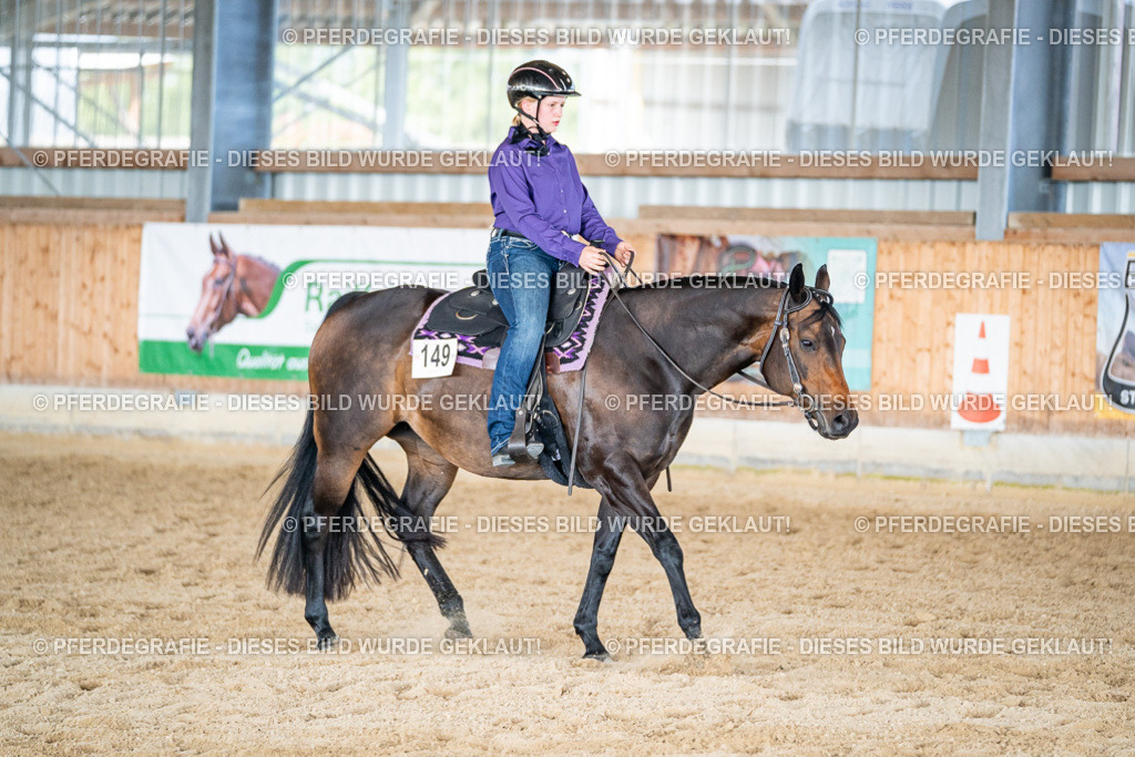 DSC09523 | Pferdegrafie