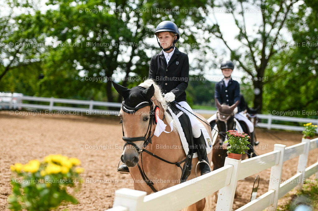 20230716_10-2_Reiter-WB Schritt - Trab - Galopp_0218 | equistock
