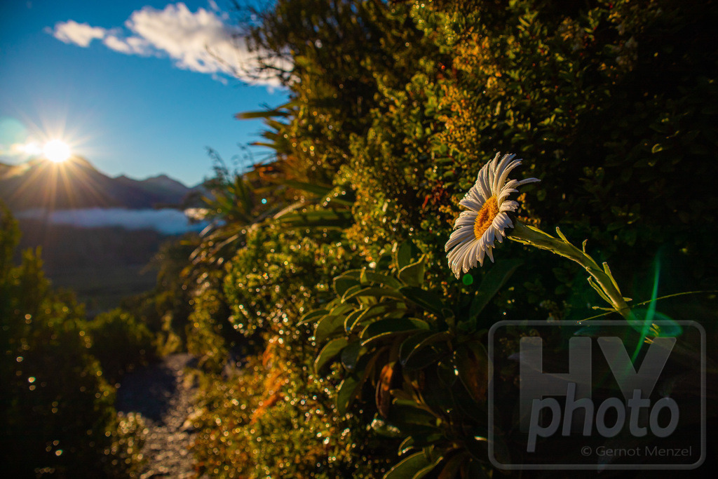 Neuseeland 2018/19 | Aoraki Mt. Cook, Sealy Tarns Track
 - Realisiert mit Pictrs.com