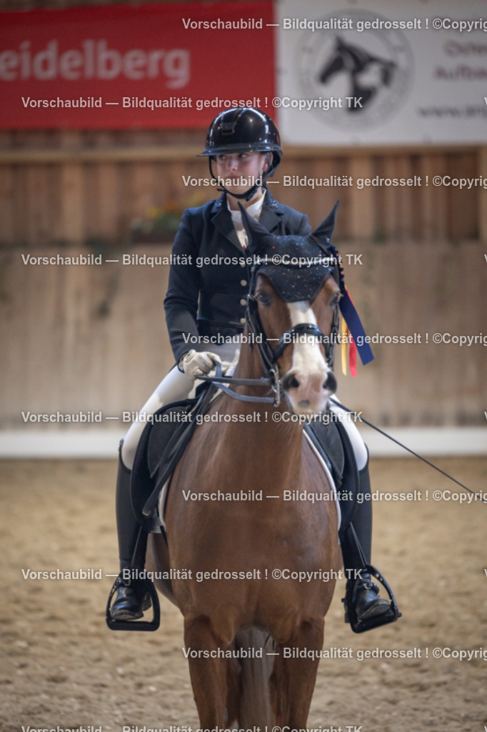 _D5A2025 | Emotionale Pferde- & People-Fotografie rund um Heidelberg, Leimen & Umgebung. Natürliche Fotos von Pferd, Mensch & Familie. Jetzt Termin sichern!