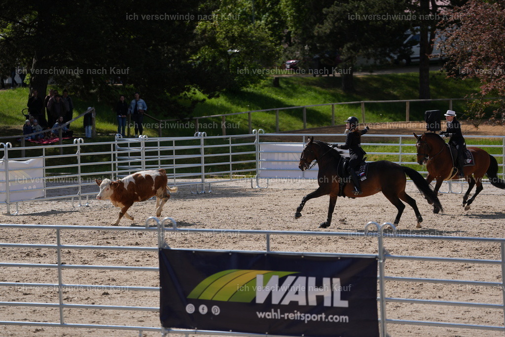 PI26_GesamtCOW_JansPictures_7C_00113.JPG | working equitationturnier fotograf videograf stoibphotography marixx film working equitation deutschland reitsport turnierfotografie eventfotografie equestrian events