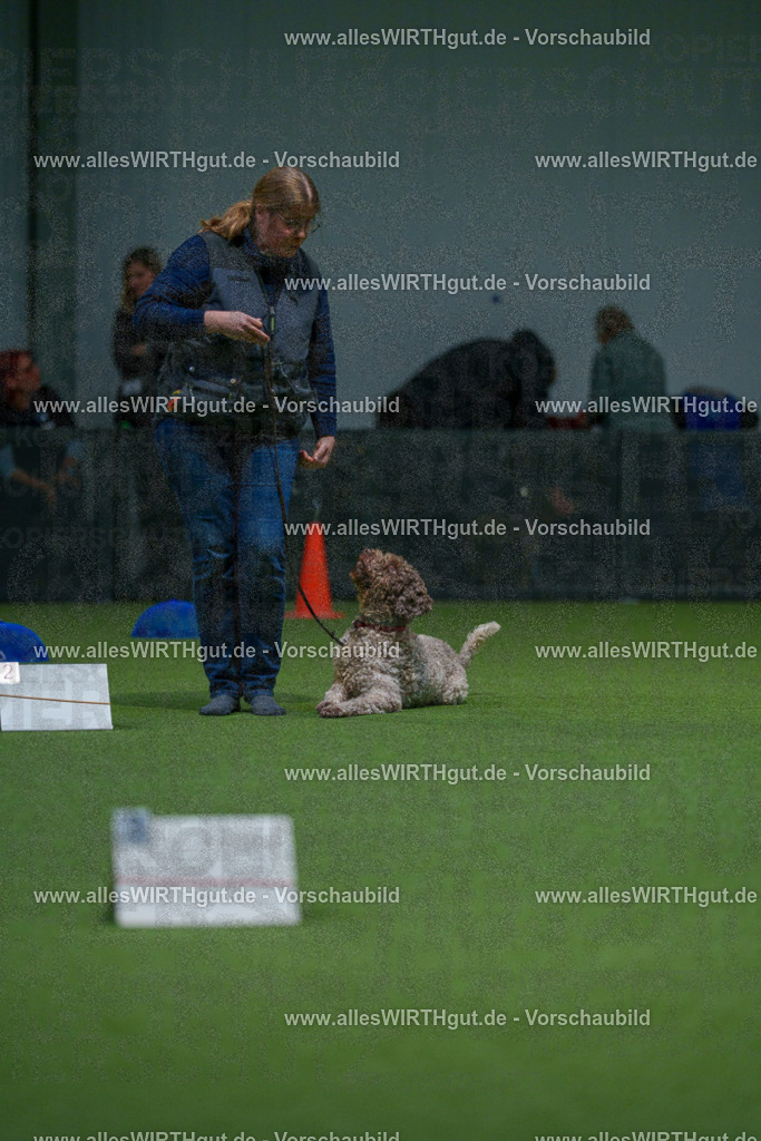 7R507807 | Professionelle Tierfotografie in Mönchengladbach von Daniel Wirth (allesWIRTHgut). Liebevolle & natürliche Bilder von Hunden & Katzen für unvergessliche Erinnerungen.