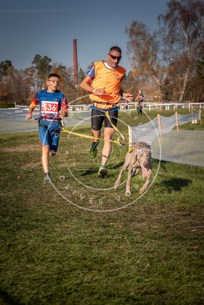 CaniXpix_0L8A7476 | Hundefotografie, Tierfotograf, Pfotenfotografie, Fotoshooting Hund, Hunde Portrait, Hundesport, Hundeportraits, Heideshooting, Hunde, Sportfotograf, Hundefotograf, Turnierhundsport, THS,  - Realisiert mit Pictrs.com