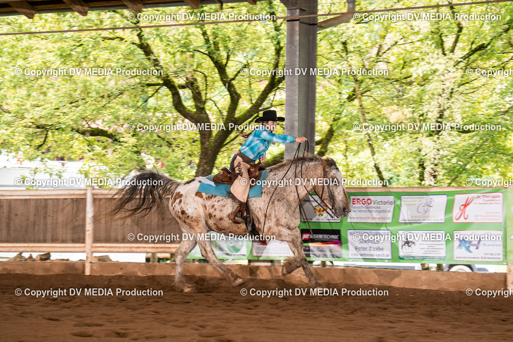 Erbach Tag 4-550 | dv-media-shop - Realisiert mit Pictrs.com