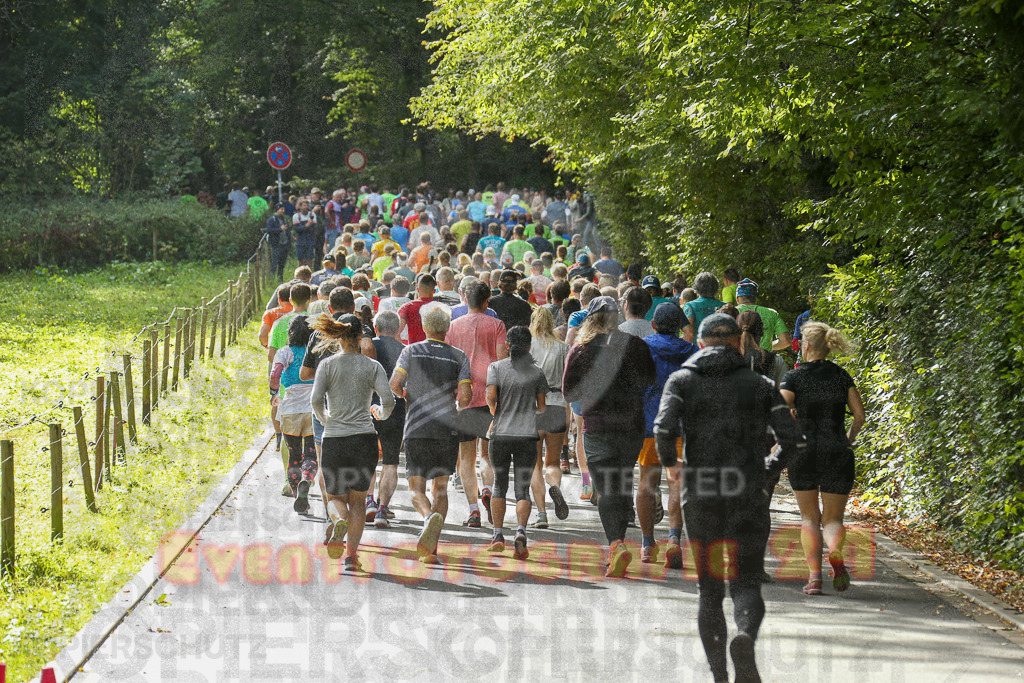 250914_1101_EX1_1256 | Sportfotografie im Rhein-Sieg Kreis, Köln, Bonn, NRW, Rheinland Pfalz, Hessen, etc. Unser Tätigkeitsfeld umfasst den Laufsport vom Volkslauf über den Marathon, Duathlon, Triathon bis zum Ultralauf wie Kölnpfad Ultra oder Schindertrail.