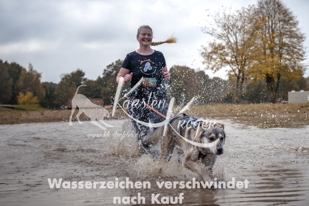 1340_ZZ94554 | kk-dogfotos