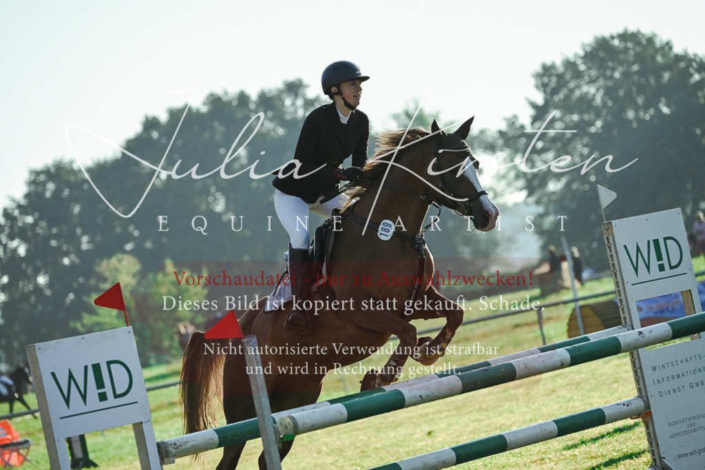 DSC_4021 | Pferde- und Turnierfotografie in Westsachsen. Pferdeportraits, Auftragszeichnungen und intuitive Kunst.