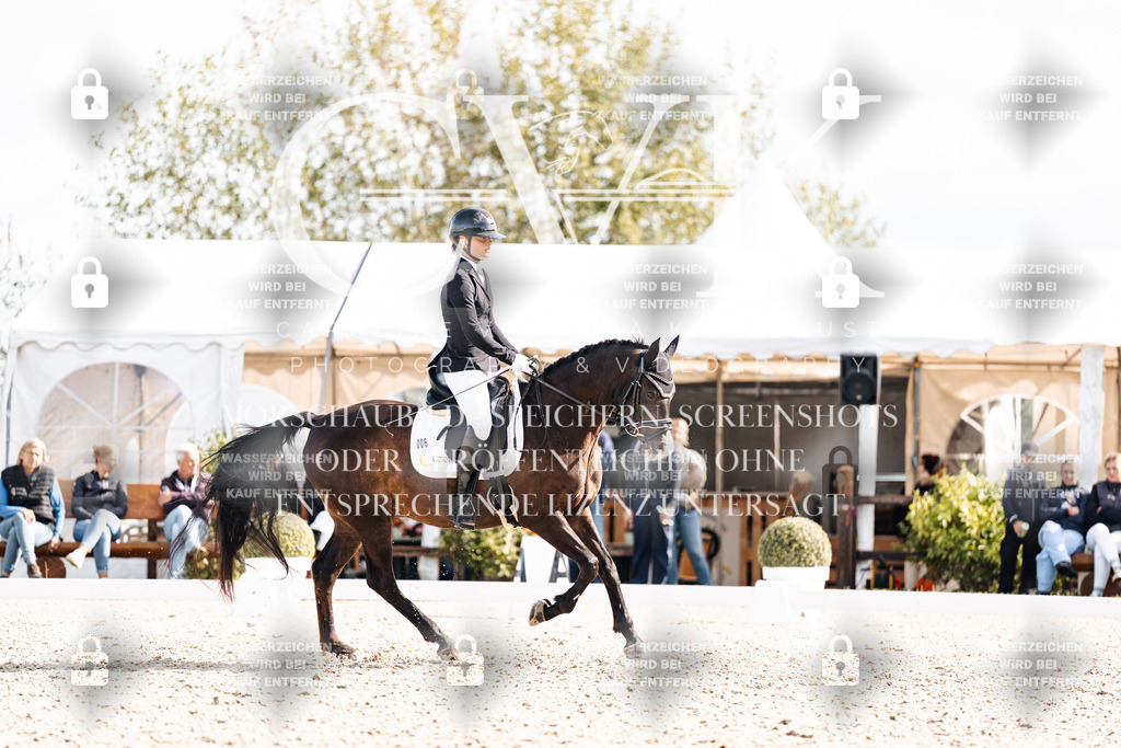 CK902126 | Turnierfotografie Pferdefotografie Trier Rheinland-Pfalz Pferdesport Reitsport Tierfotografie Sportfotografie Pferdevideo Pferdevideografie Equestrianvideography equestrianphotography  - Realisiert mit Pictrs.com