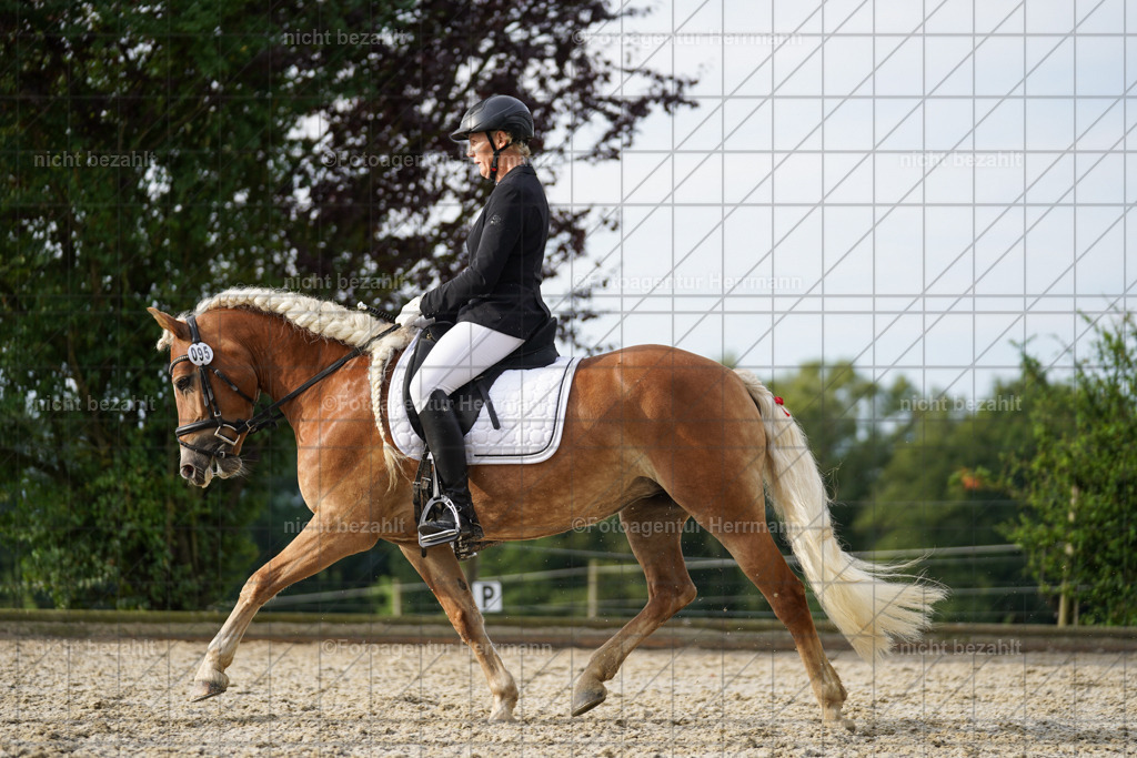 20230826-FAH04522 | Forstinning, 2023, Dressurturnier, Turniersportbilder, Turnierfotografen Bayern, Fotoagentur Herrmann, Reitsportfotografie, Turnierbilder