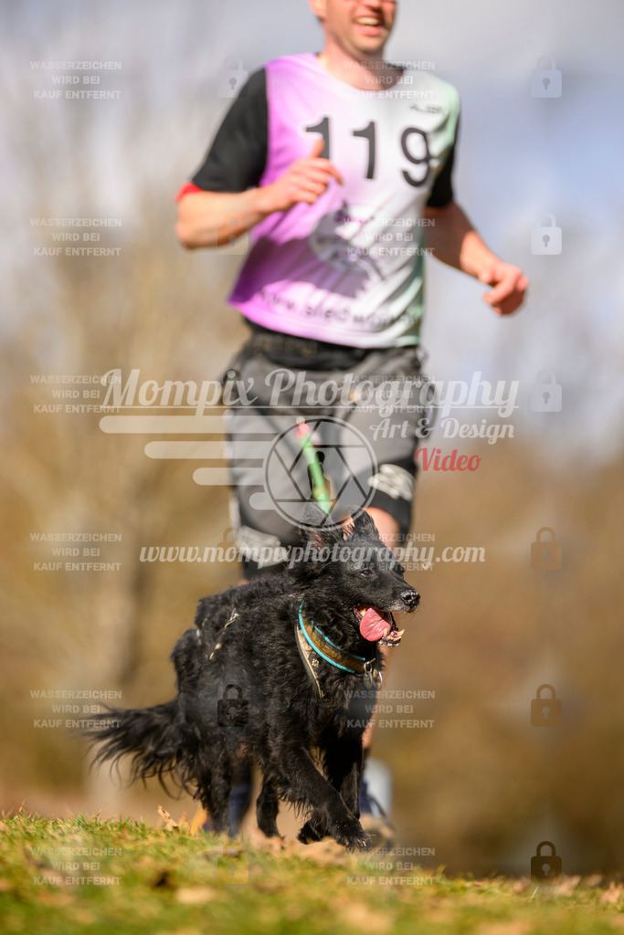 MompixPhotography_10Schwabentrail2026_SO_Canicross-56 | PayLife