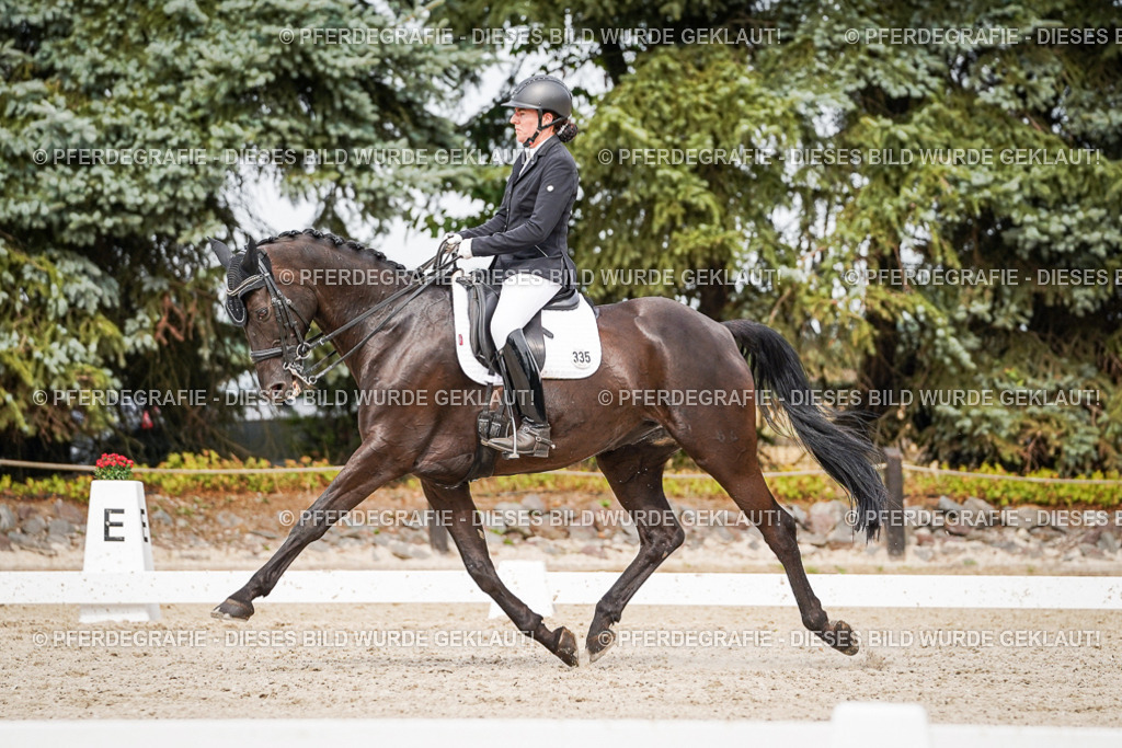 DSC06882 | Pferdegrafie