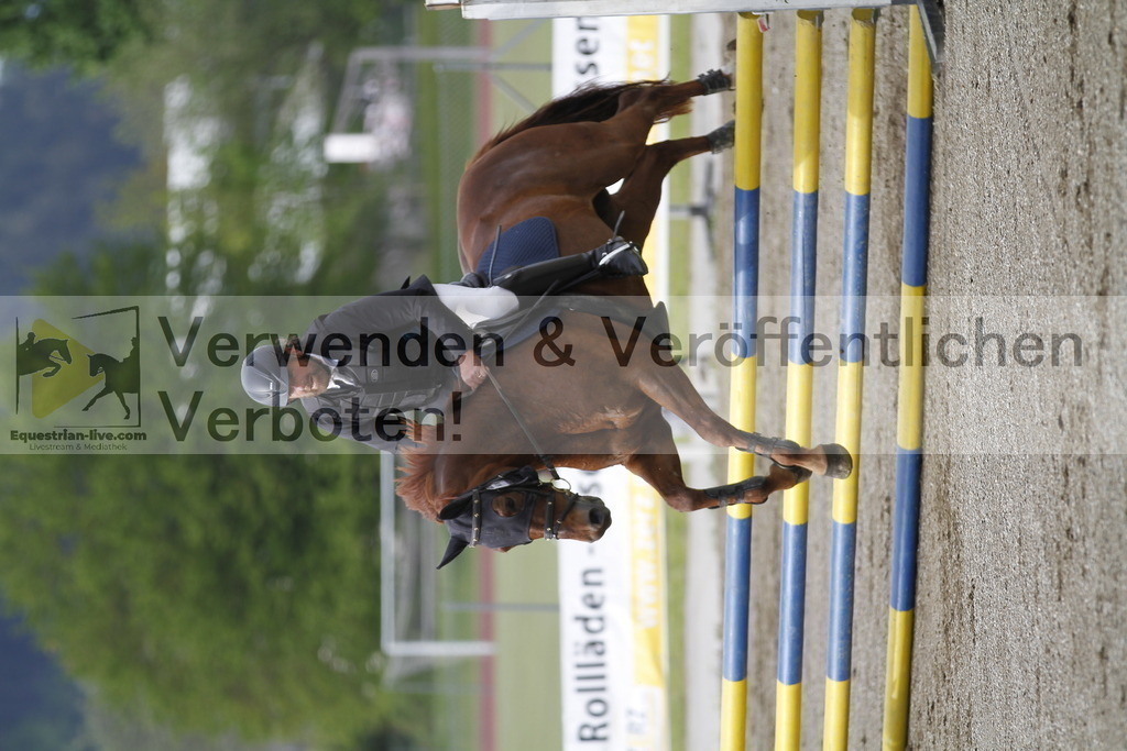 _MG_1319 | equestrian-live-com