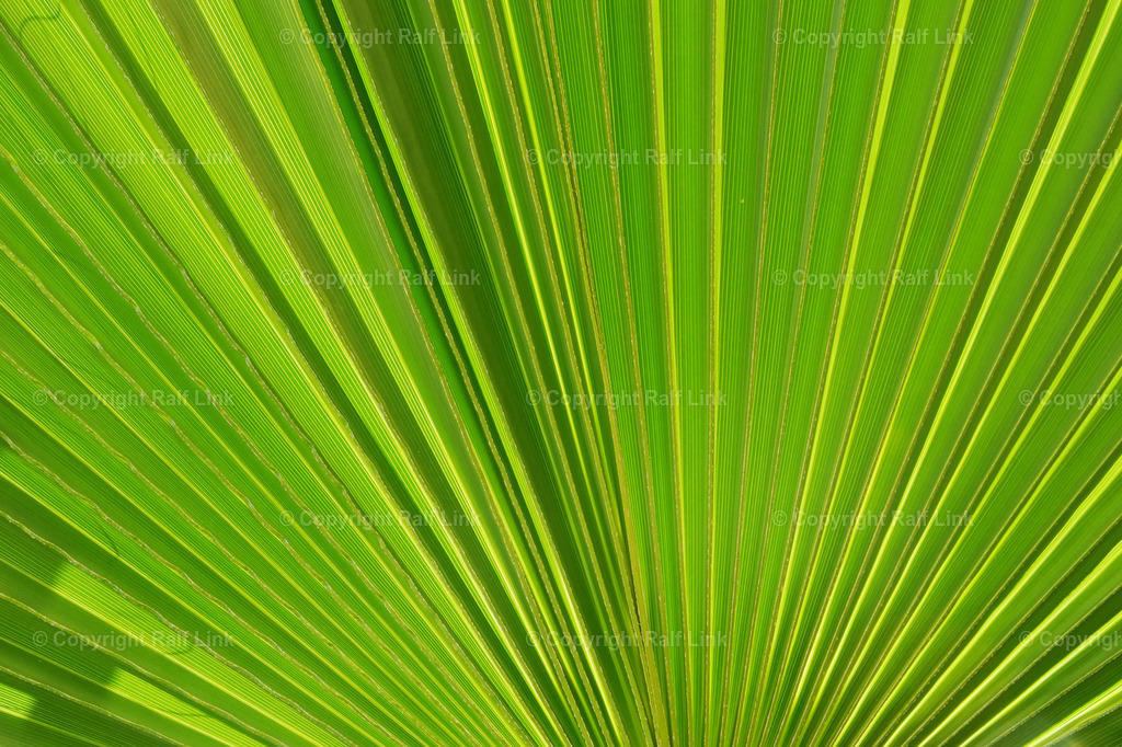 grün_01 | Stockfotos, Fotos mit Miniaturfiguren und kreativen Ideen. Dabei auch vieles aus der Metropolregion Rhein-Neckar. 