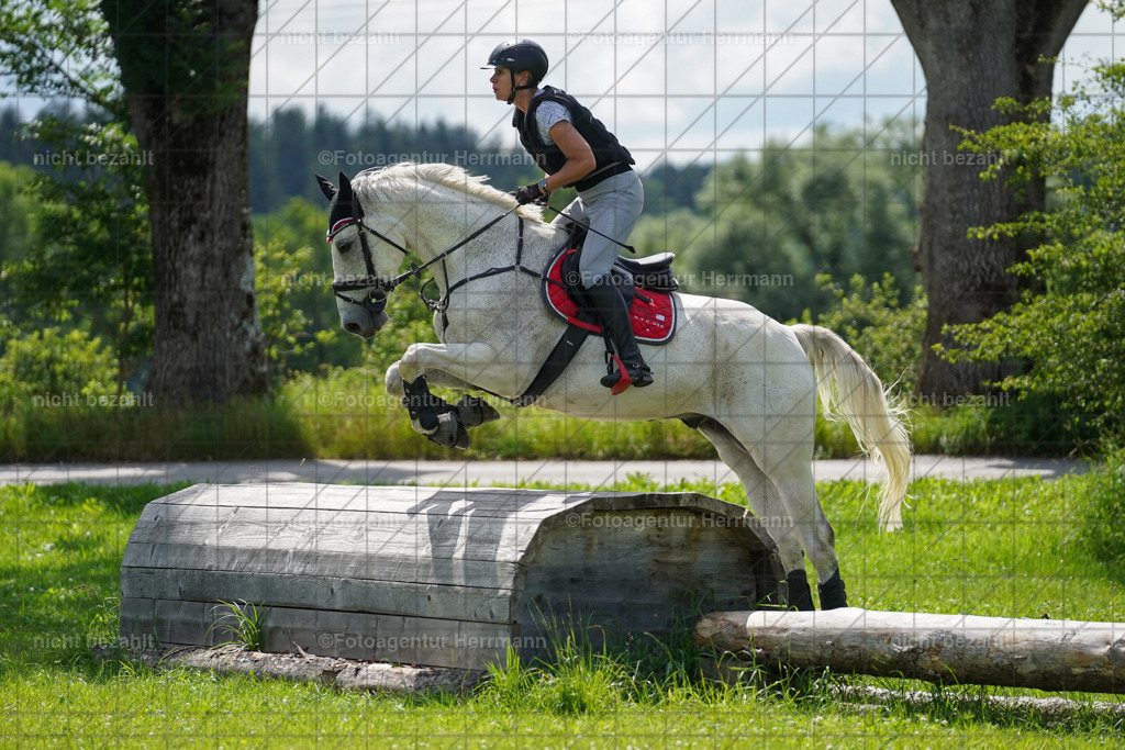 20240622-FAH07740 | Turnierfotografen Bayern, Reitsportbilder aus dem Geländekurs mit Felix Etzel auf dem Gut Waitzacker 2024