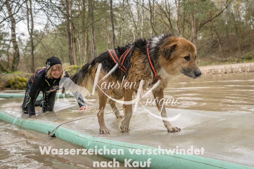 1333_ZZ90948-Bearbeitet | kk-dogfotos