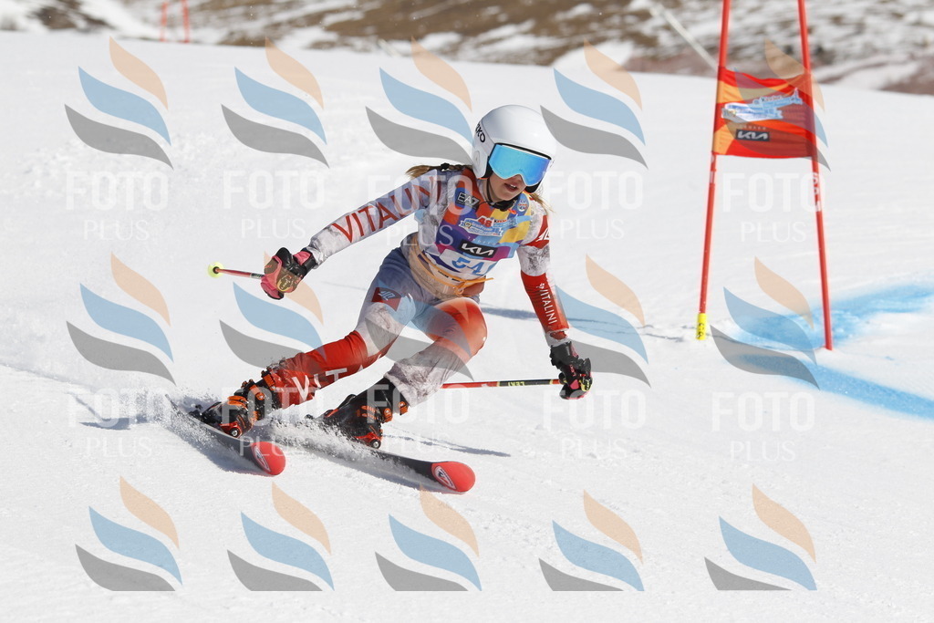 _U3G9466 | holidayphoto