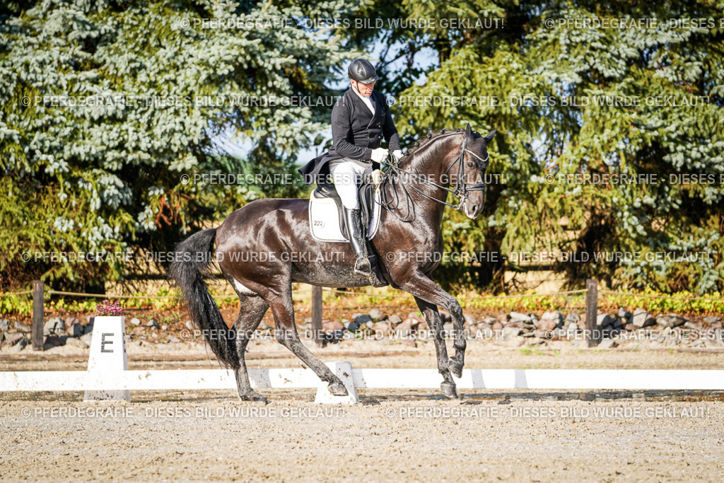 DSC00782 | Pferdegrafie