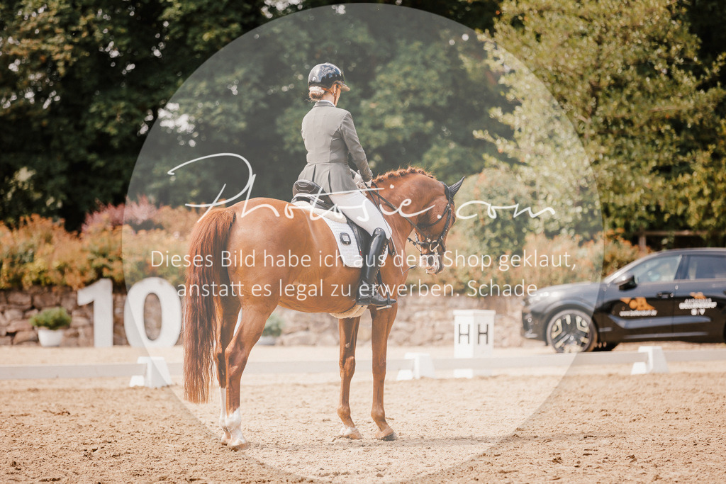 3I6A6039 | Stimmungsvolle Portraits und Reitsportfotografie im Ruhrgebiet und im Münsterland.

Pferdefotografie, Hundefotografie, Tierfotografie, Reportagen, Portraits von Tier und Mensch, Turnierfotografie in Bochum, Recklinghausen, Marl, Haltern am See, Dülmen.. - Realisiert mit Pictrs.com