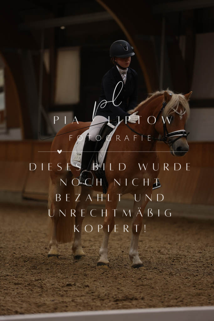 IMGM6935 | pl-fotografie