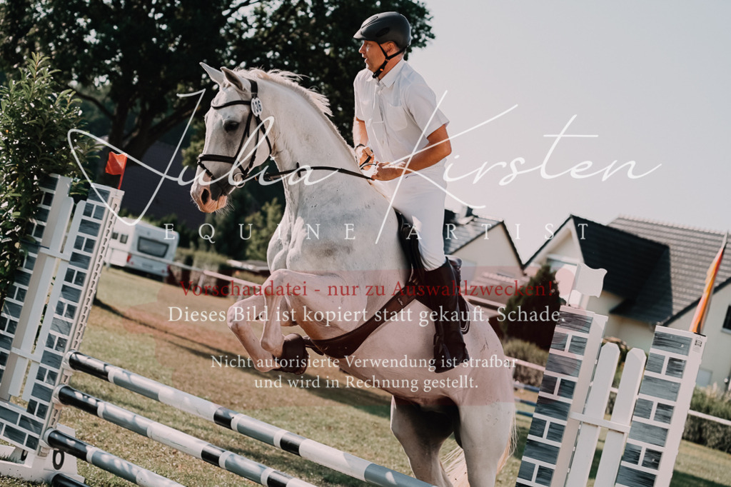 DSC_4565 | Pferde- und Turnierfotografie in Westsachsen. Pferdeportraits, Auftragszeichnungen und intuitive Kunst.