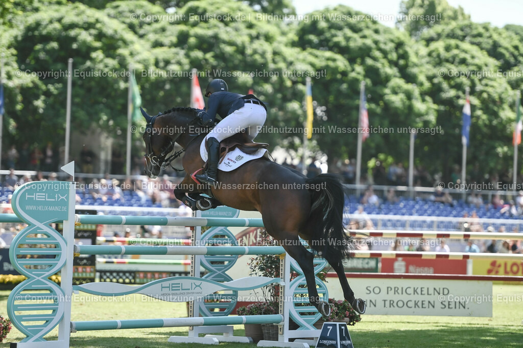 20230529_18_CSI4_Obermayr_0005 | equistock