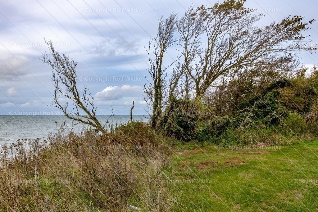 ahrenshoop2.1 | Rolf Wittke  - Realisiert mit Pictrs.com