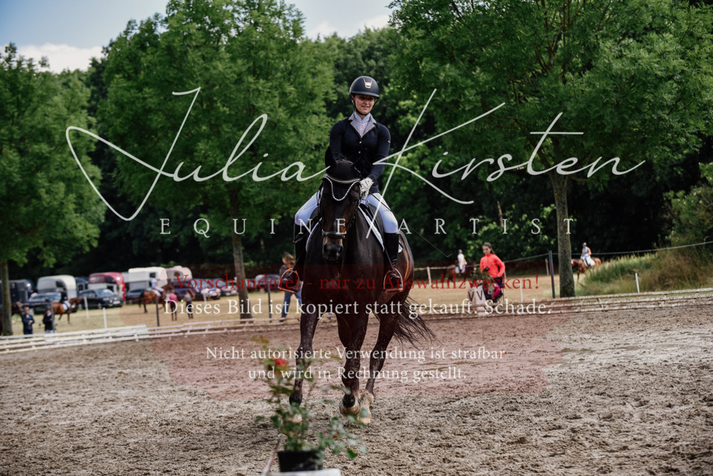 DSC_0620 | Pferde- und Turnierfotografie in Westsachsen. Pferdeportraits, Auftragszeichnungen und intuitive Kunst.