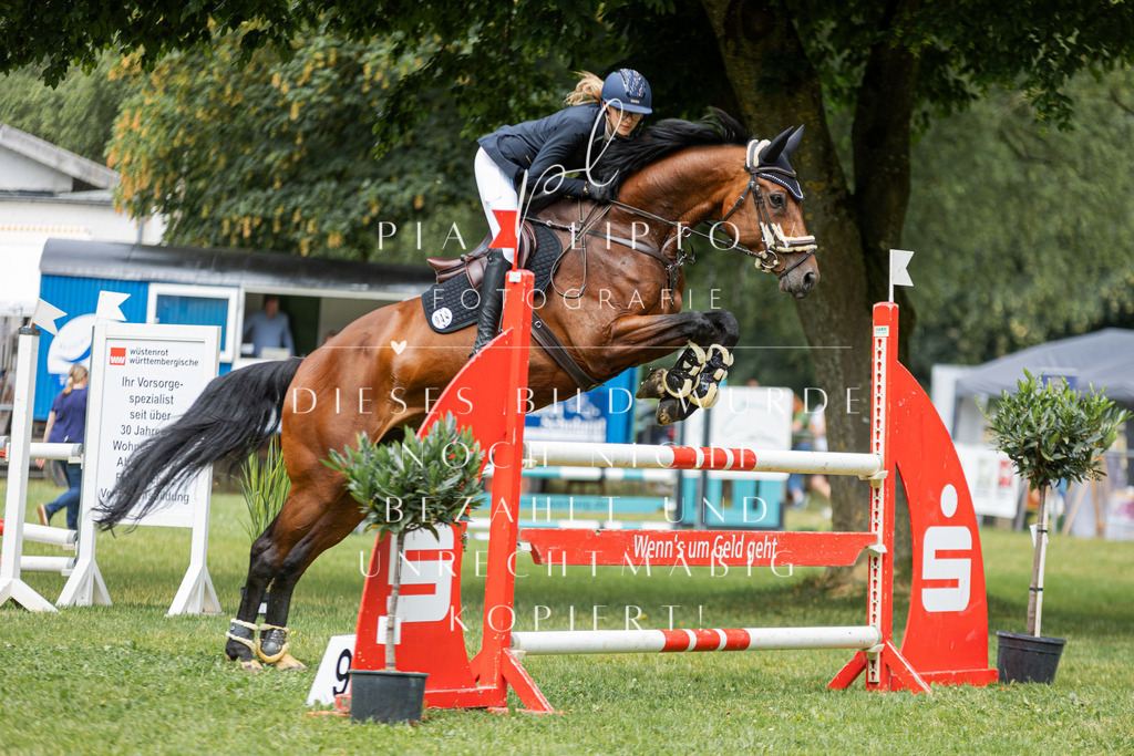 IMGM6160 | pl-fotografie