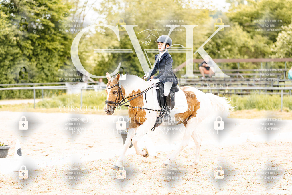 CK904617 | Turnierfotografie Pferdefotografie Trier Rheinland-Pfalz Pferdesport Reitsport Tierfotografie Sportfotografie Pferdevideo Pferdevideografie Equestrianvideography equestrianphotography  - Realisiert mit Pictrs.com