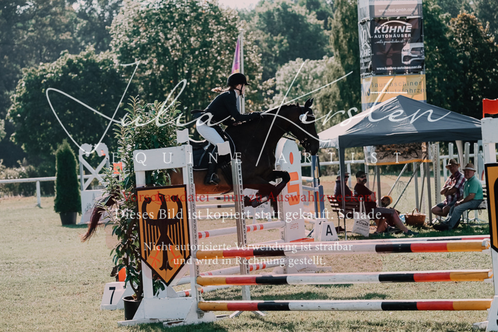 DSC_4816 | Pferde- und Turnierfotografie in Westsachsen. Pferdeportraits, Auftragszeichnungen und intuitive Kunst.