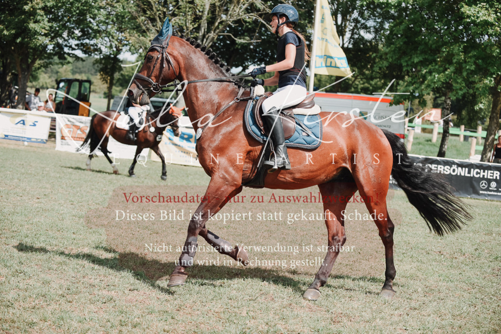DSC_5678 | Pferde- und Turnierfotografie in Westsachsen. Pferdeportraits, Auftragszeichnungen und intuitive Kunst.