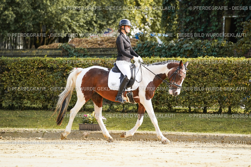 DSC05564 | Pferdegrafie