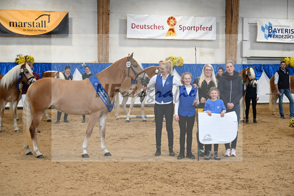 Bl. Band Kat-Nr. 12 Baghira v. Schampus_Czernoch_48251552 | hf-fotografie - Realisiert mit Pictrs.com