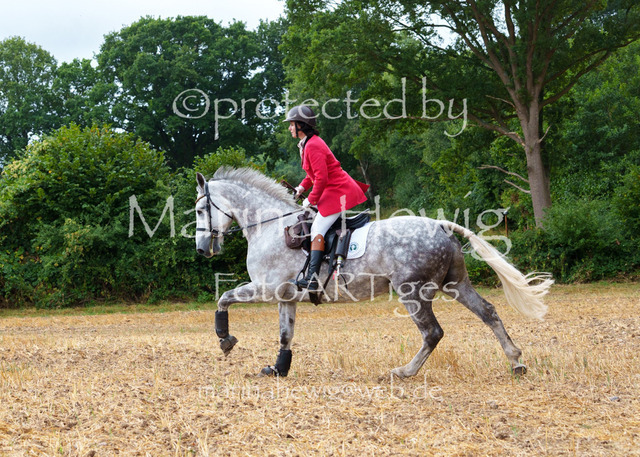 Jagd Knoop 26_MarinaHewigMCH02187 | Fotografie, FotoArt, PferdesportArt, Pferdesportfotografie, Landschaftsfotografie, Reisefotografie, Reise, Pferde - Realisiert mit Pictrs.com