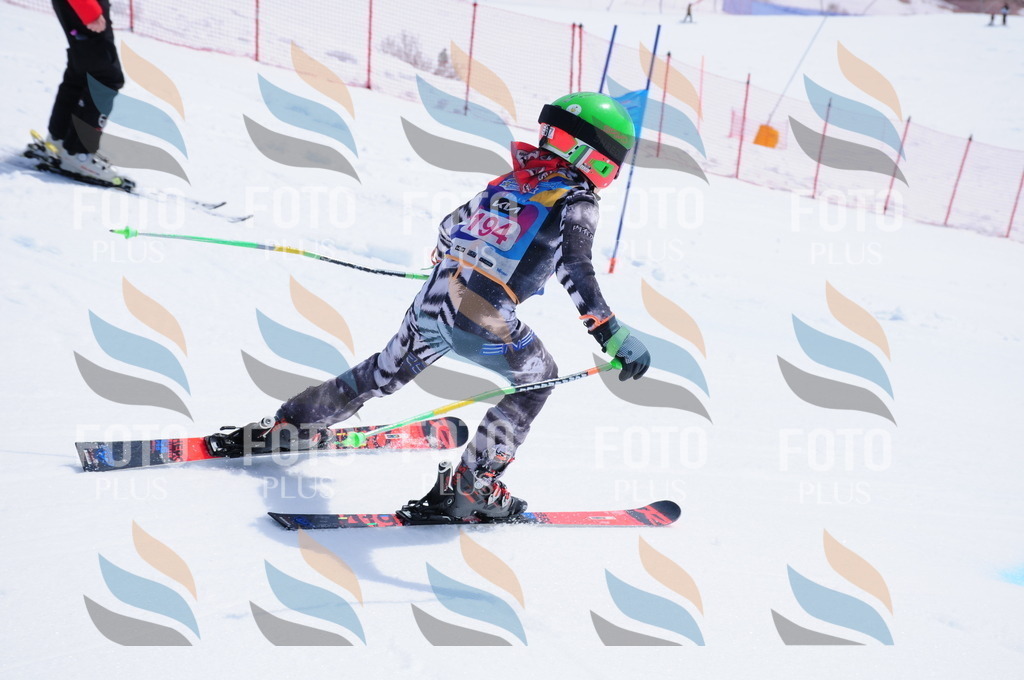 DSC_5706 | holidayphoto