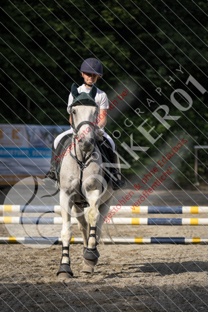 IMG_6003 | Sport-, Event- und Tierfotos in Profiqualität. Einfach auswählen, bestellen und herunterladen. Dein Moment – perfekt festgehalten.