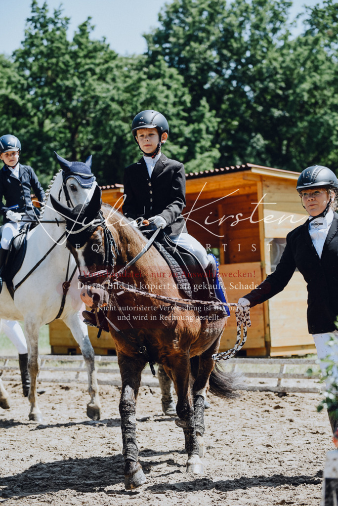DSC_2367 | Pferde- und Turnierfotografie in Westsachsen. Pferdeportraits, Auftragszeichnungen und intuitive Kunst.