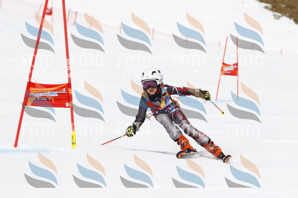 _U3G7247 | holidayphoto