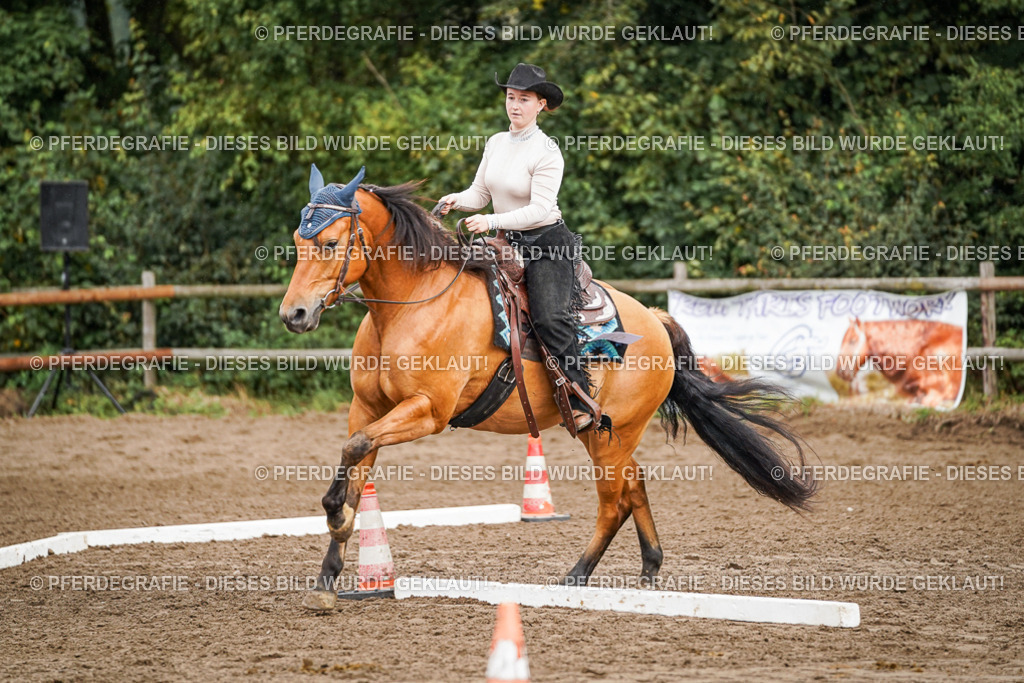 DSC04488 | Pferdegrafie